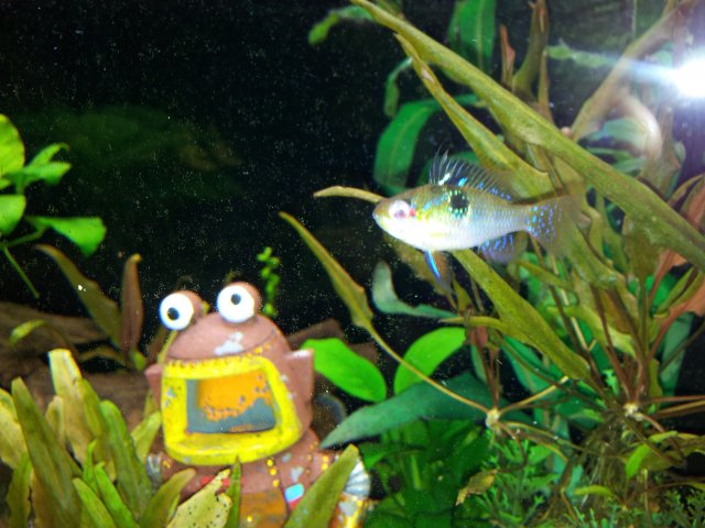 20121128_174409.jpg 20121128_174409.jpg