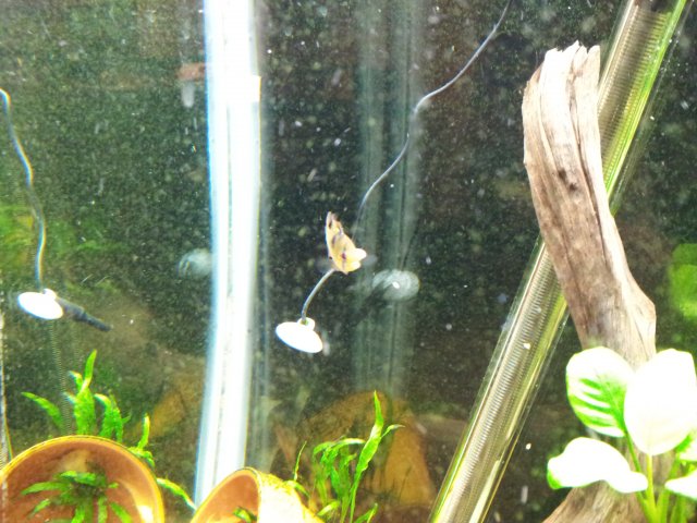 20121128_174444.jpg