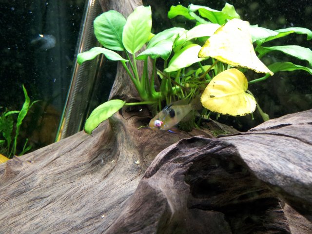 20121128_174455.jpg 20121128_174455.jpg