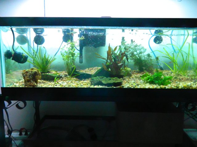 DSCN0497.JPG