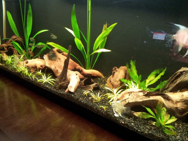 20121203_165936.jpg