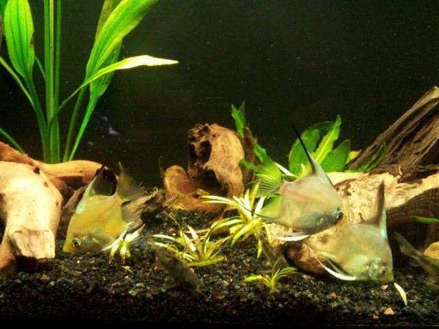 20121203_165803.jpg