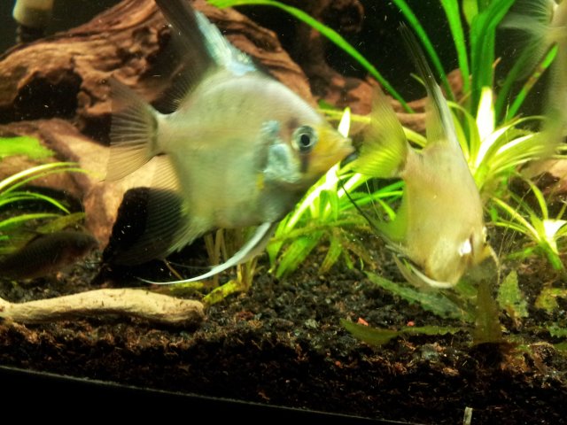 20121203_170325.jpg