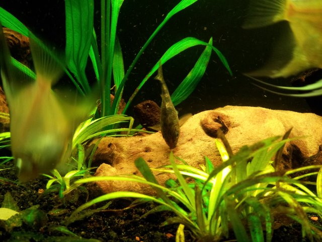 20121203_170353.jpg