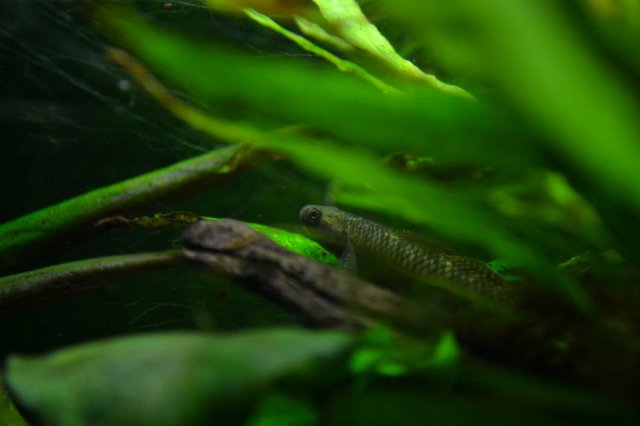 DSC_0016_zps2ae364d4.jpg