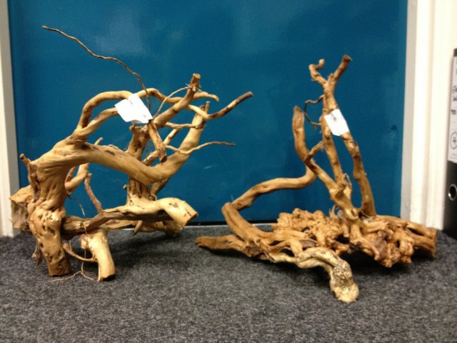 ImageUploadedByMonsterAquariaNetwork1356220603.879966.jpg ImageUploadedByMonsterAquariaNetwork1356220603.879966.jpg