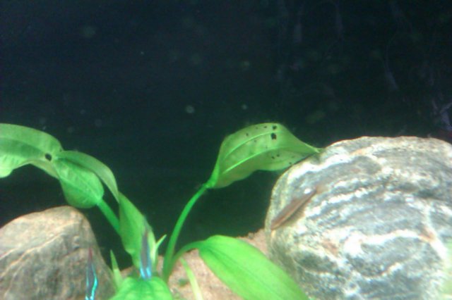 IMAG0022.jpg