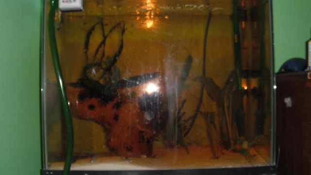 DSCF1103.JPG