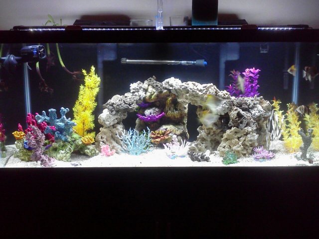 new led.jpg