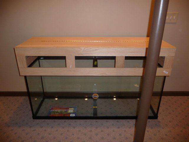 P1100041 (Large).JPG
