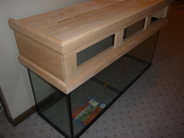 P105.JPG