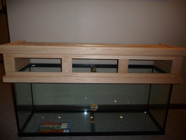 P106.JPG