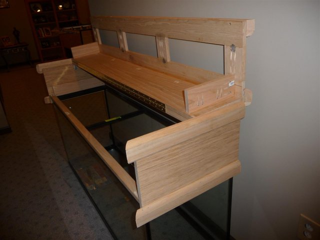 P107.JPG