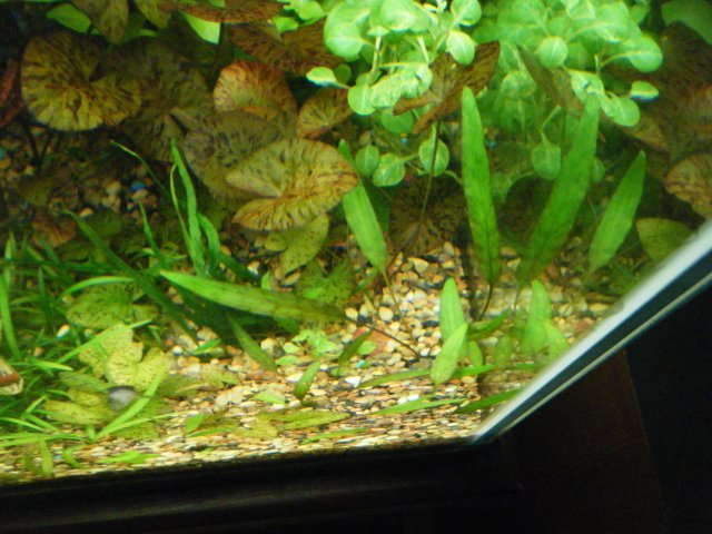 2013_0115terrys0018.JPG 2013_0115terrys0018.JPG