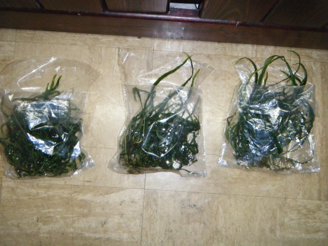 2013_0115terrys0010.JPG 2013_0115terrys0010.JPG