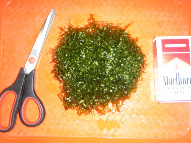 2013_0115terrys0014.JPG 2013_0115terrys0014.JPG