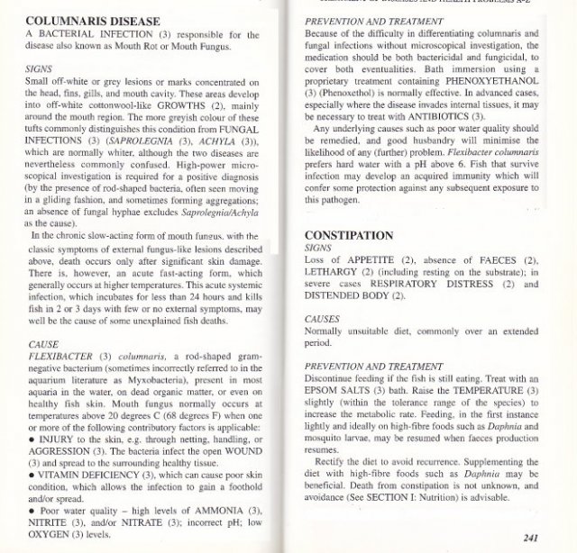 bkcolumnaris.jpg bkcolumnaris.jpg