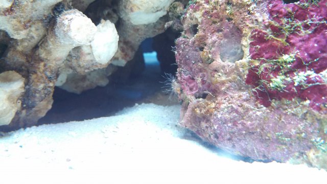 IMG_20130115_162610_709.jpg