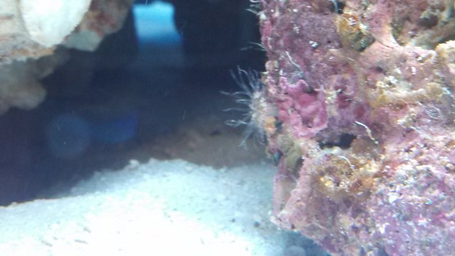 IMG_20130115_162629_846.jpg