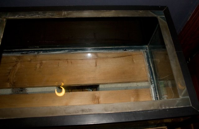 tank right side.jpg