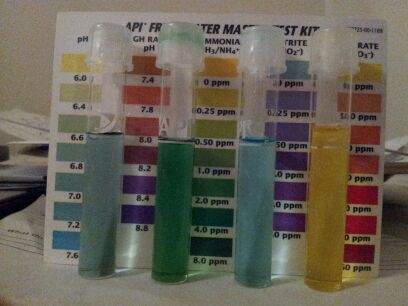(10) All test results on Jan 19 2013 to double check Ammonia and pH results.jpg