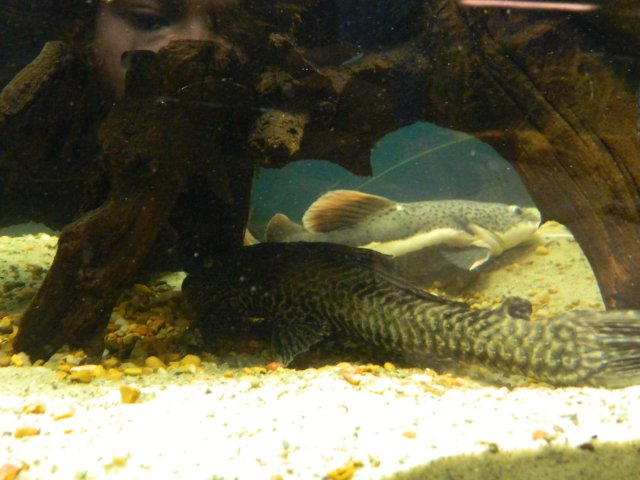 DSCN4865.JPG