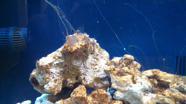 IMG_20130121_110408_998.jpg