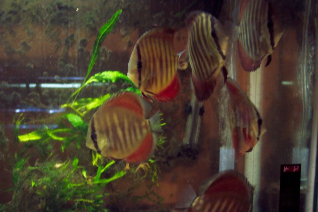 100_2210.JPG