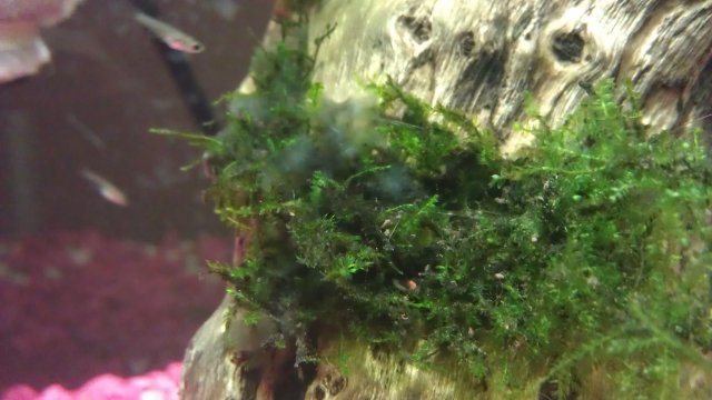 IMAG0285.jpg