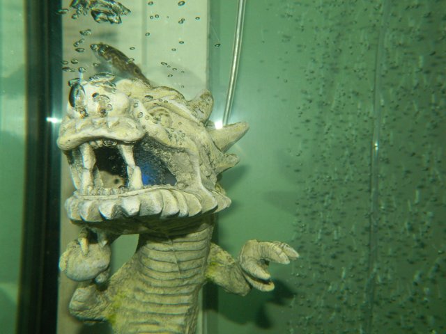 DSCN2119.JPG DSCN2119.JPG