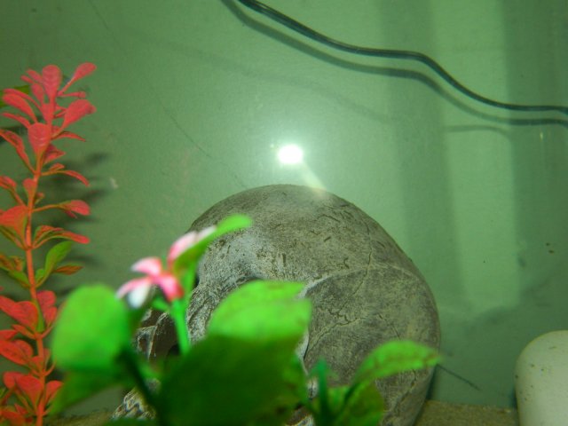 DSCN2120.JPG DSCN2120.JPG