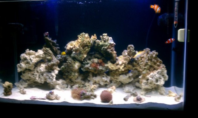 IMAG0108.jpg