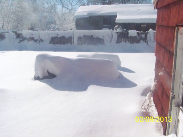 100_0686.JPG