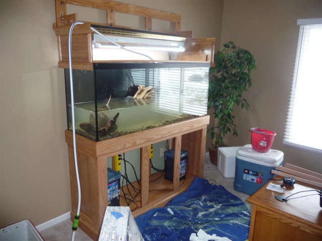P1100262 (Large).JPG