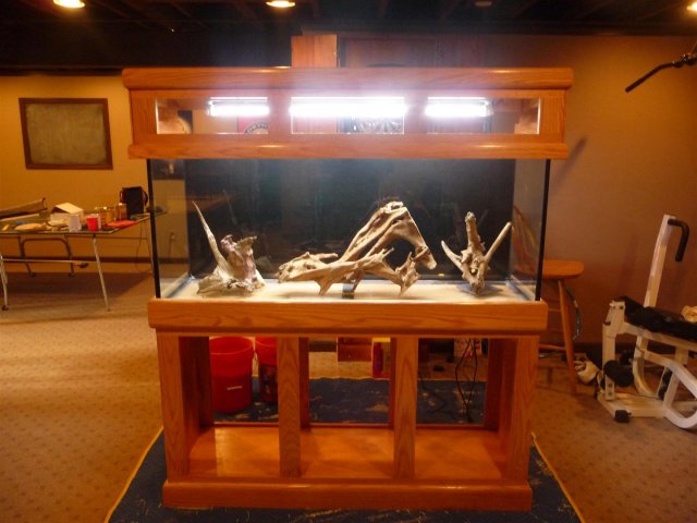 P1100259 (Large).JPG