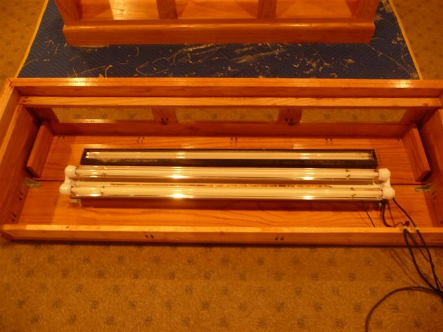 P1100256 (Large).JPG