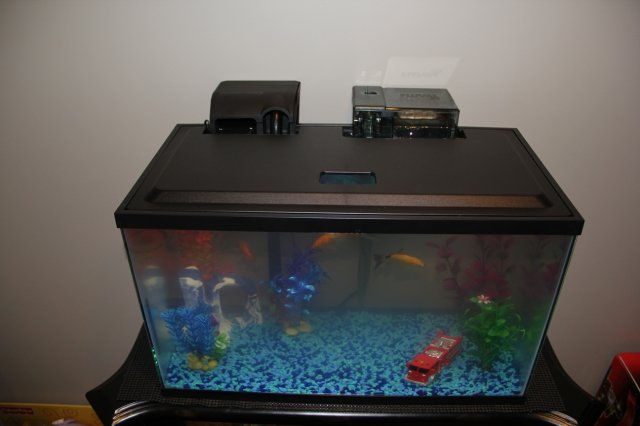 IMG_0435.JPG IMG_0435.JPG