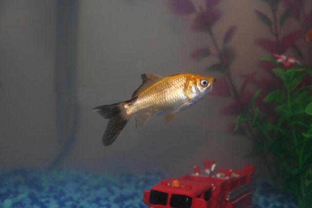 IMG_0427.JPG IMG_0427.JPG