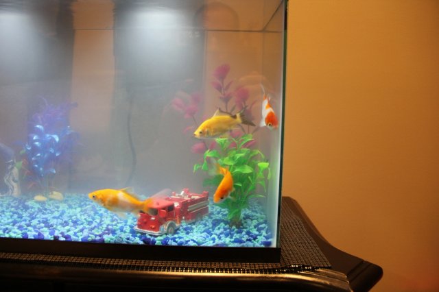 IMG_0430.JPG IMG_0430.JPG