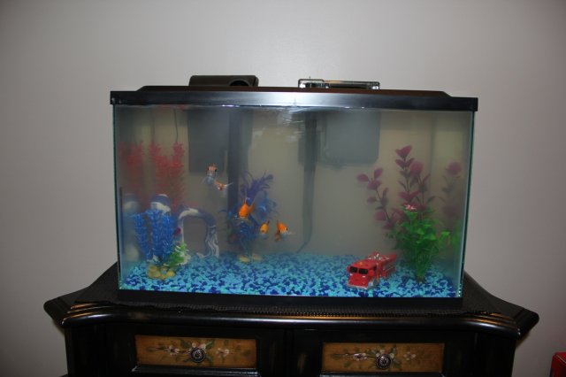 IMG_0425.JPG IMG_0425.JPG