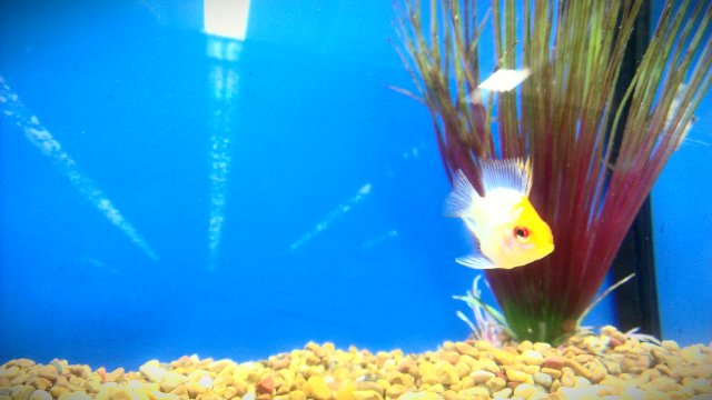 IMAG0372-1-2.jpg