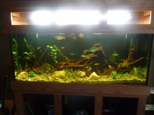 P1100343.JPG