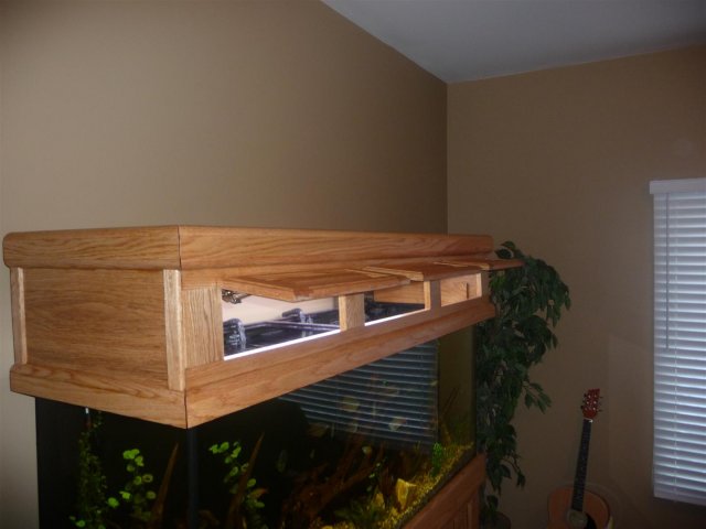 P1100352 (Large).JPG