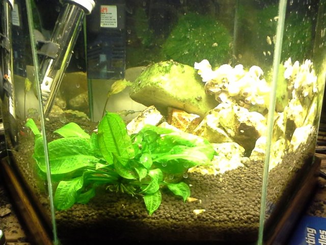 20130215_174010.jpg