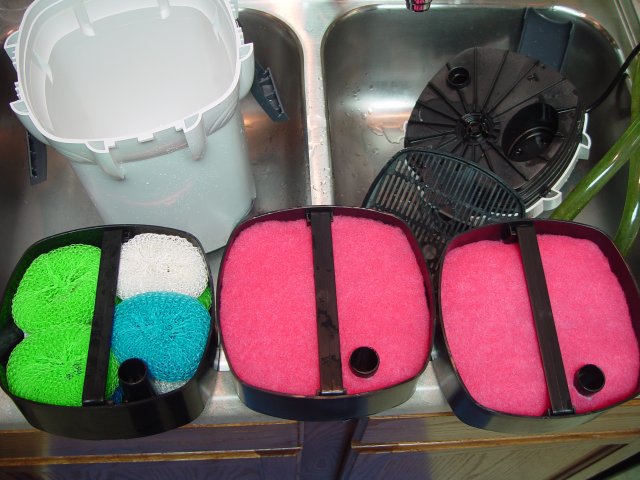 DSC00012.JPG