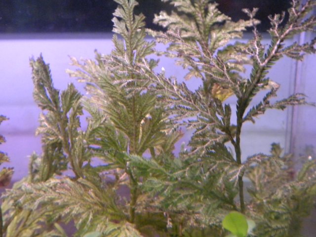 DSCN5179.JPG