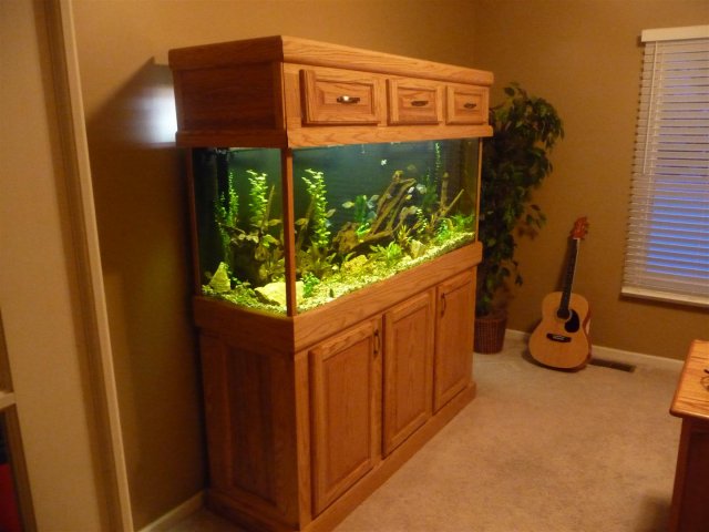 003 (Large).JPG