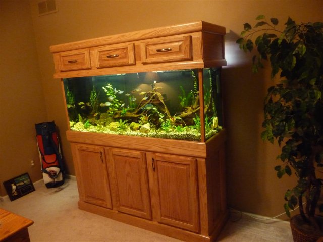 009 (Large).JPG