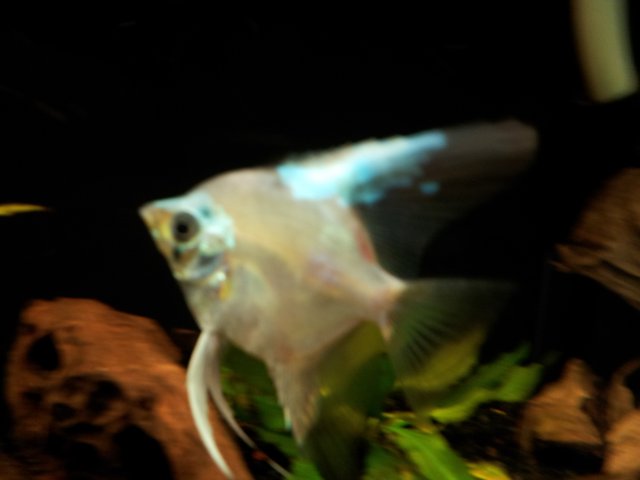 20130228_153030.jpg