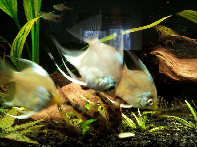 20130228_153301.jpg